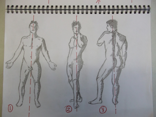 Figures 1,2 & 3 showing the central axis in red broken line